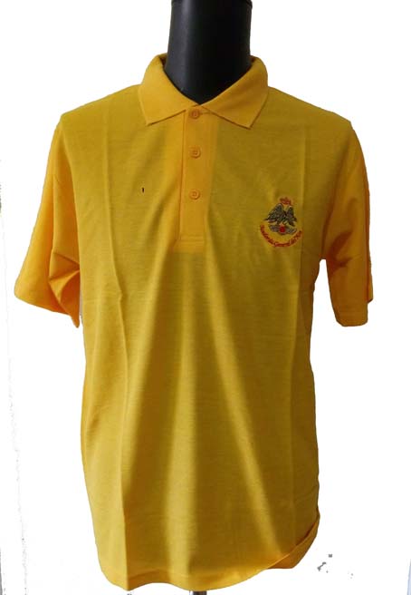 \"Liquidacion\" Polo amarillo sin bandera nacional AGA